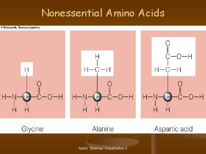 Nonessential Amino Acids Aulani "Biokimia" Presentation 5 