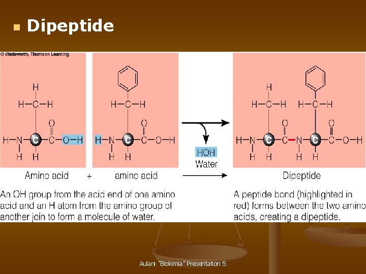 n Dipeptide Aulani "Biokimia" Presentation 5 