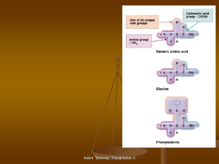 Aulani "Biokimia" Presentation 5 