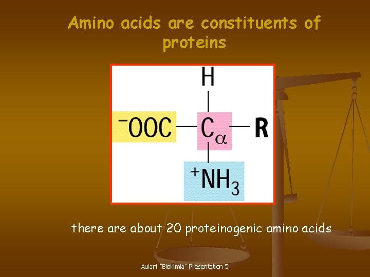 Amino acids are constituents of proteins there about 20 proteinogenic amino acids Aulani "Biokimia"