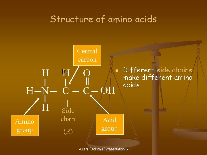 Structure of amino acids Central carbon H H O H N C C H