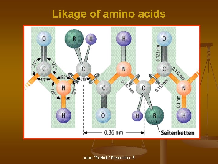 Likage of amino acids Aulani "Biokimia" Presentation 5 