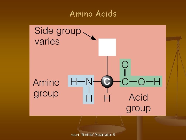 Amino Acids Aulani "Biokimia" Presentation 5 