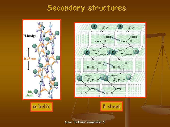 Secondary structures a-helix ß-sheet Aulani "Biokimia" Presentation 5 