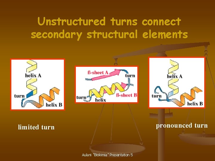 Unstructured turns connect secondary structural elements pronounced turn limited turn Aulani "Biokimia" Presentation 5