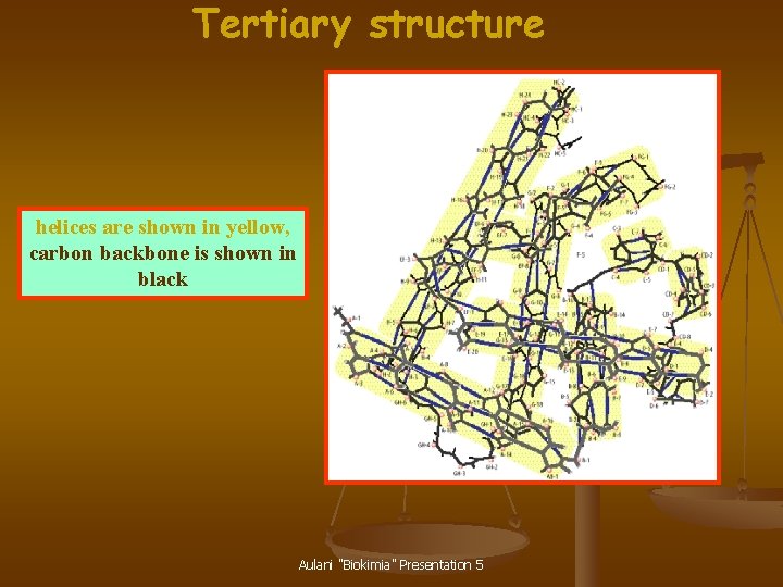 Tertiary structure helices are shown in yellow, carbon backbone is shown in black Aulani