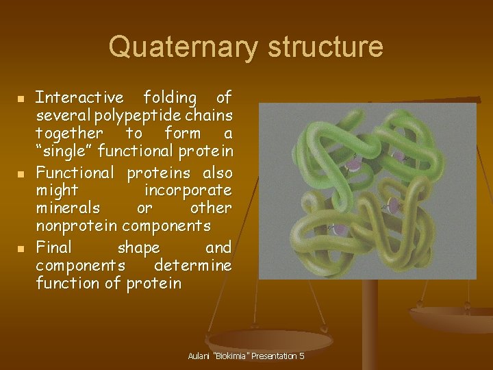 Quaternary structure n n n Interactive folding of several polypeptide chains together to form