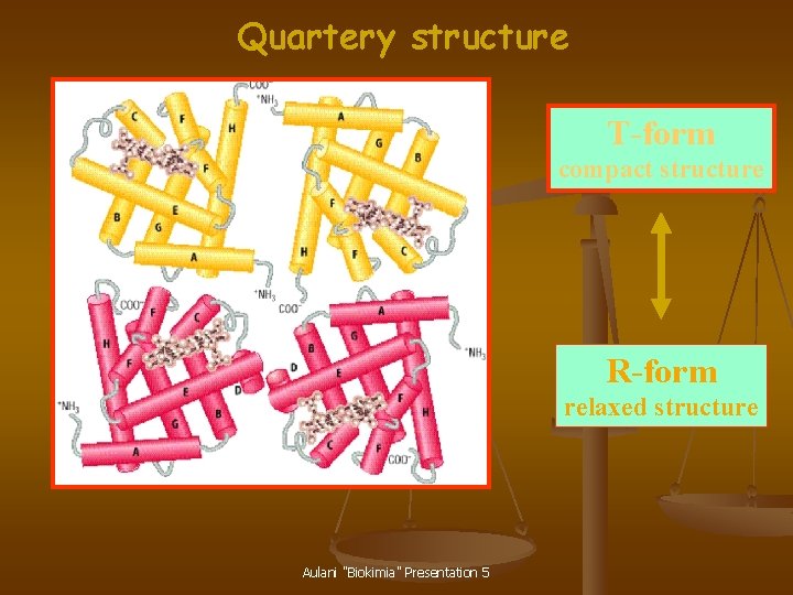 Quartery structure T-form compact structure R-form relaxed structure Aulani "Biokimia" Presentation 5 