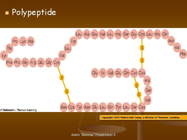 n Polypeptide Copyright 2005 Wadsworth Group, a division of Thomson Learning Aulani "Biokimia" Presentation