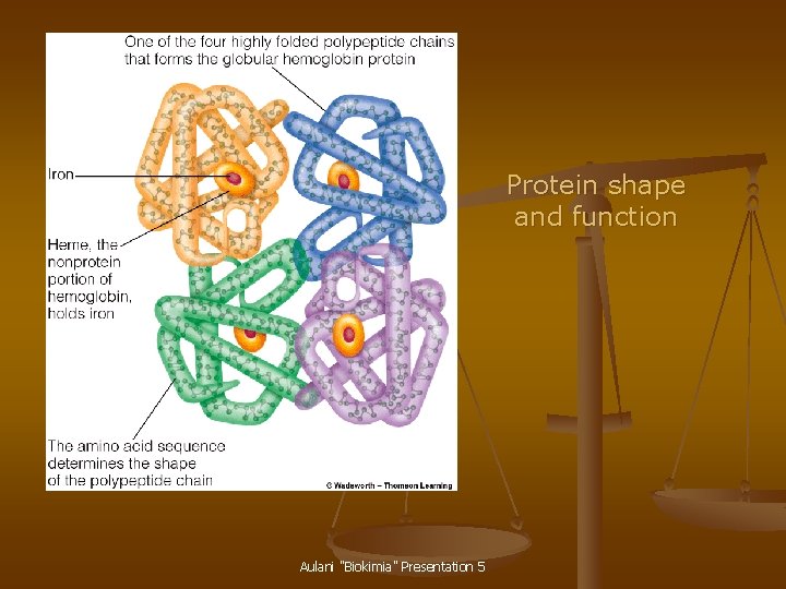 Protein shape and function Aulani "Biokimia" Presentation 5 