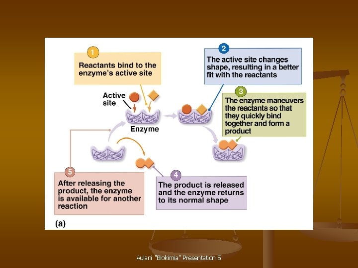 Aulani "Biokimia" Presentation 5 