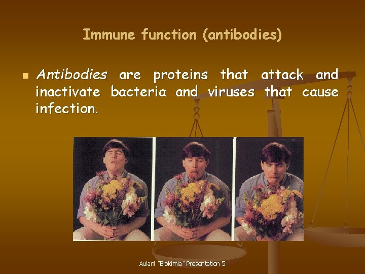 Immune function (antibodies) n Antibodies are proteins that attack and inactivate bacteria and viruses