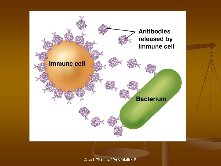 Aulani "Biokimia" Presentation 5 