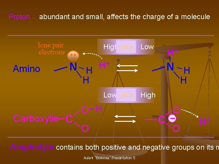 Proton： abundant and small, affects the charge of a molecule lone pair electrons Amino