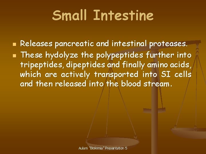 Small Intestine n n Releases pancreatic and intestinal proteases. These hydolyze the polypeptides further