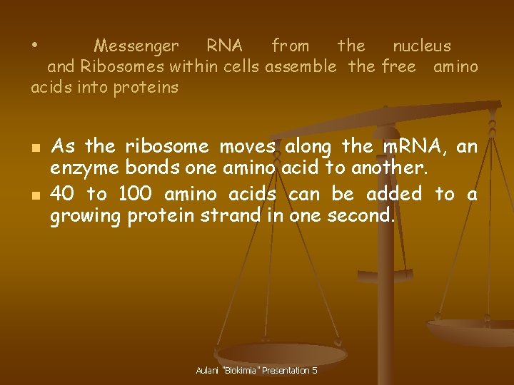 Messenger RNA from the nucleus and Ribosomes within cells assemble the free amino acids