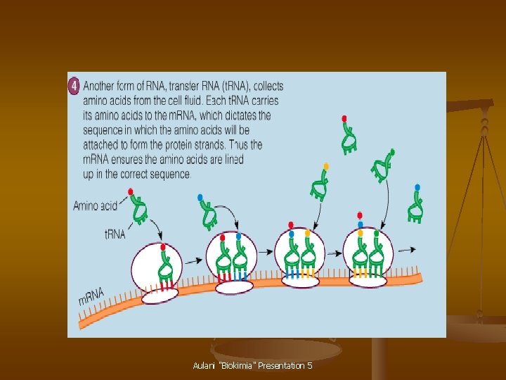 Aulani "Biokimia" Presentation 5 