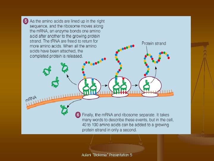 Aulani "Biokimia" Presentation 5 