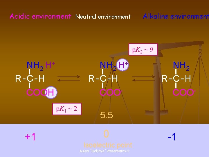 Acidic environment Neutral environment Alkaline environment p. K 2 ~ 9 NH 2 H+