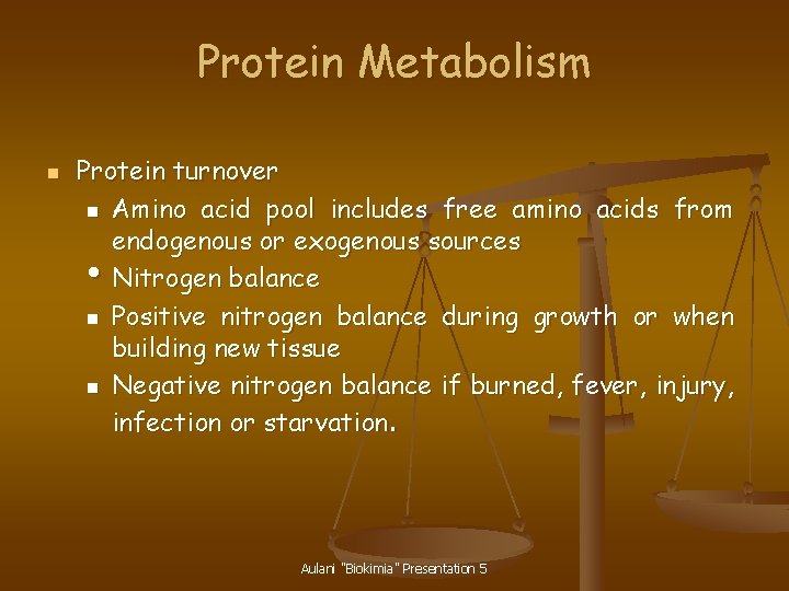 Protein Metabolism n Protein turnover n Amino acid pool includes free amino acids from
