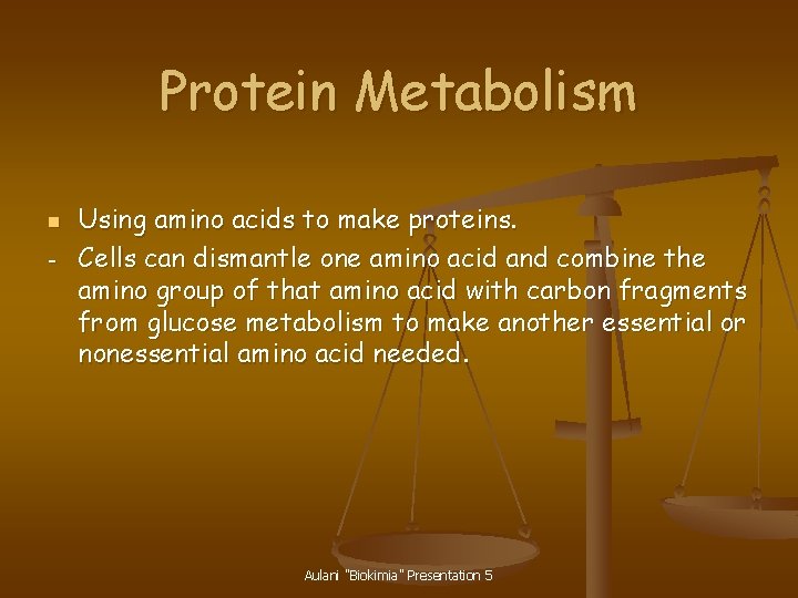 Protein Metabolism n – Using amino acids to make proteins. Cells can dismantle one