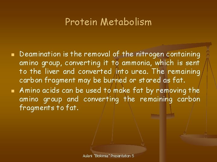 Protein Metabolism n n Deamination is the removal of the nitrogen containing amino group,