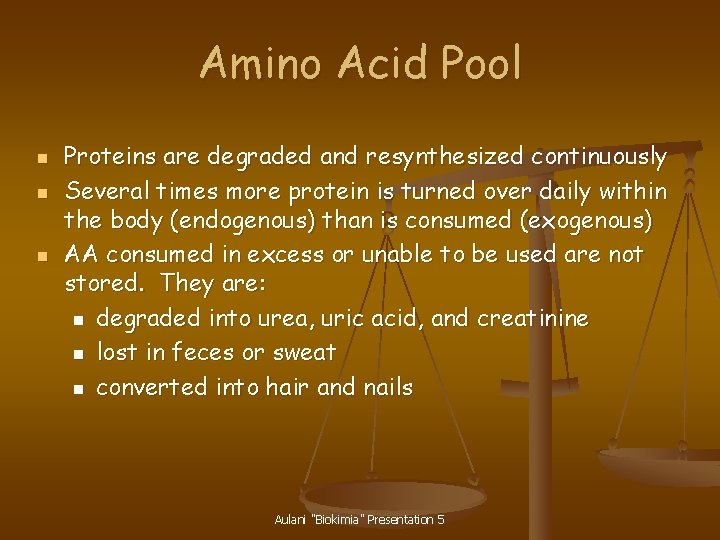 Amino Acid Pool n n n Proteins are degraded and resynthesized continuously Several times