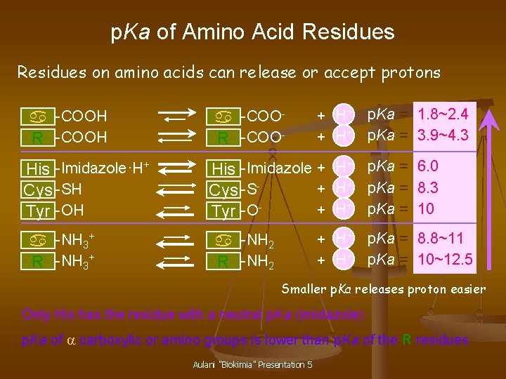 p. Ka of Amino Acid Residues on amino acids can release or accept protons