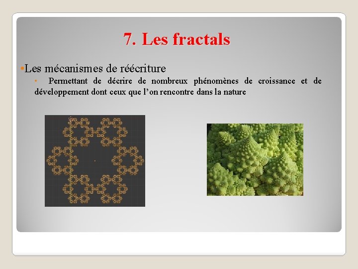 7. Les fractals • Les mécanismes de réécriture • Permettant de décrire de nombreux