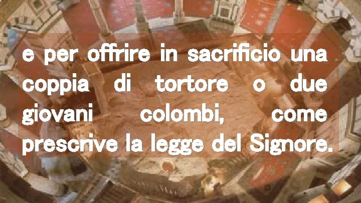 e per offrire in sacrificio una coppia di tortore o due giovani colombi, come