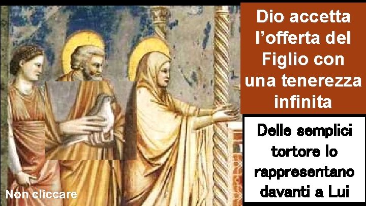 Dio accetta l’offerta del Figlio con una tenerezza infinita Non cliccare Delle semplici tortore