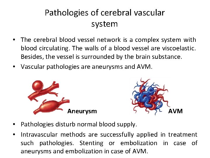 Pathologies of cerebral vascular system • The cerebral blood vessel network is a complex