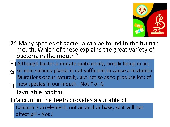 24 Many species of bacteria can be found in the human mouth. Which of