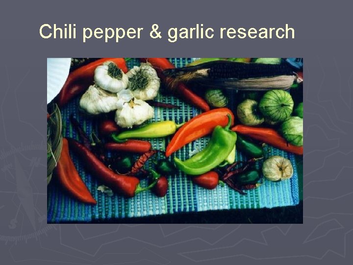 Chili pepper & garlic research 