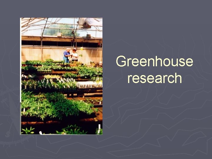 Greenhouse research 