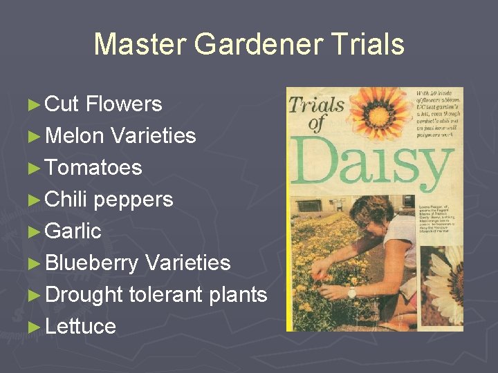 Master Gardener Trials ► Cut Flowers ► Melon Varieties ► Tomatoes ► Chili peppers