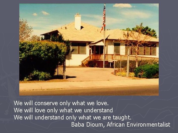 We will conserve only what we love. We will love only what we understand
