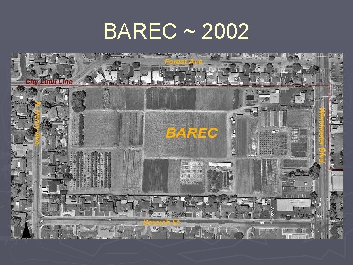 BAREC ~ 2002 