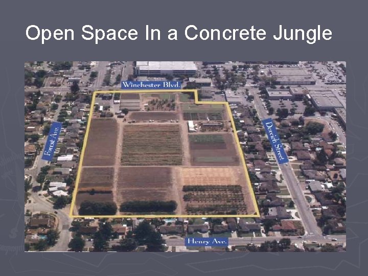 Open Space In a Concrete Jungle 