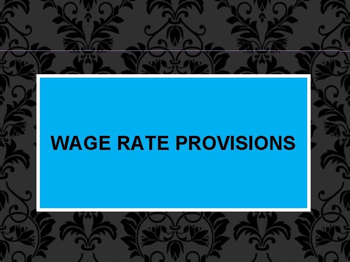 WAGE RATE PROVISIONS 