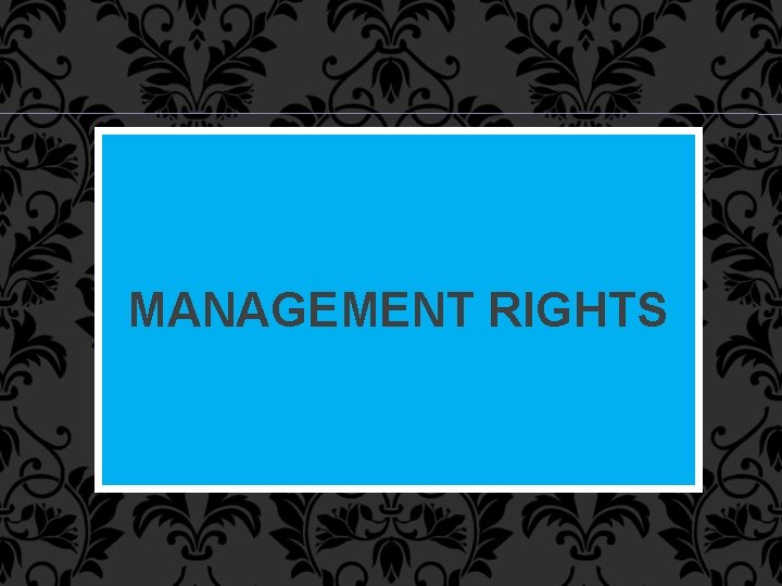 MANAGEMENT RIGHTS 