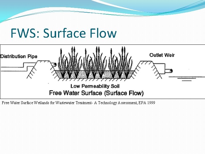 FWS: Surface Flow Free Water Surface Wetlands for Wastewater Treatment- A Technology Assessment, EPA