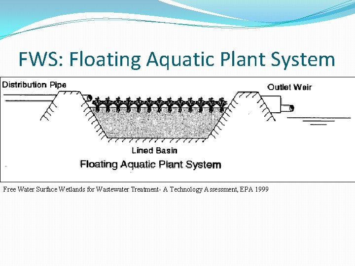 FWS: Floating Aquatic Plant System Free Water Surface Wetlands for Wastewater Treatment- A Technology