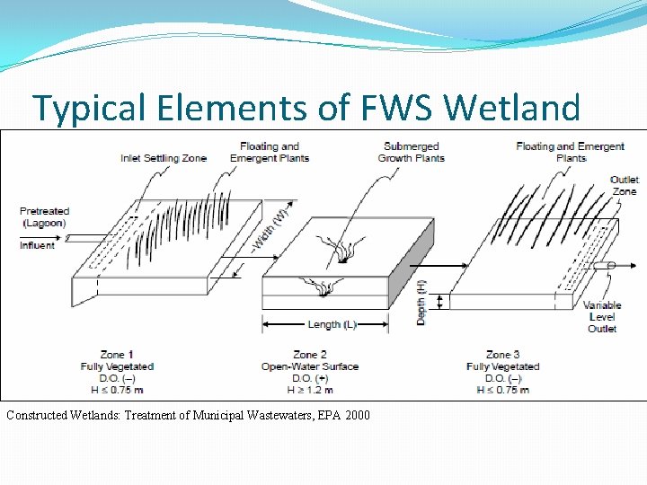 Typical Elements of FWS Wetland Constructed Wetlands: Treatment of Municipal Wastewaters, EPA 2000 