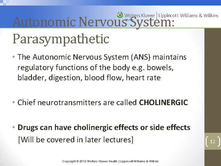 Autonomic Nervous System: Parasympathetic • The Autonomic Nervous System (ANS) maintains regulatory functions of