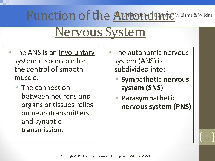 Function of the Autonomic Nervous System • The ANS is an involuntary system responsible