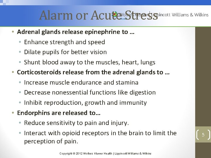 Alarm or Acute Stress • Adrenal glands release epinephrine to … • Enhance strength