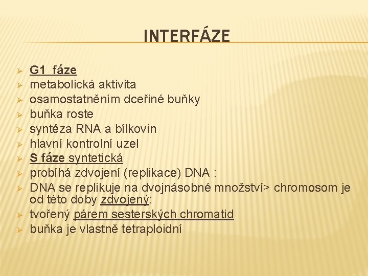 INTERFÁZE Ø Ø Ø G 1 fáze metabolická aktivita osamostatněním dceřiné buňky buňka roste