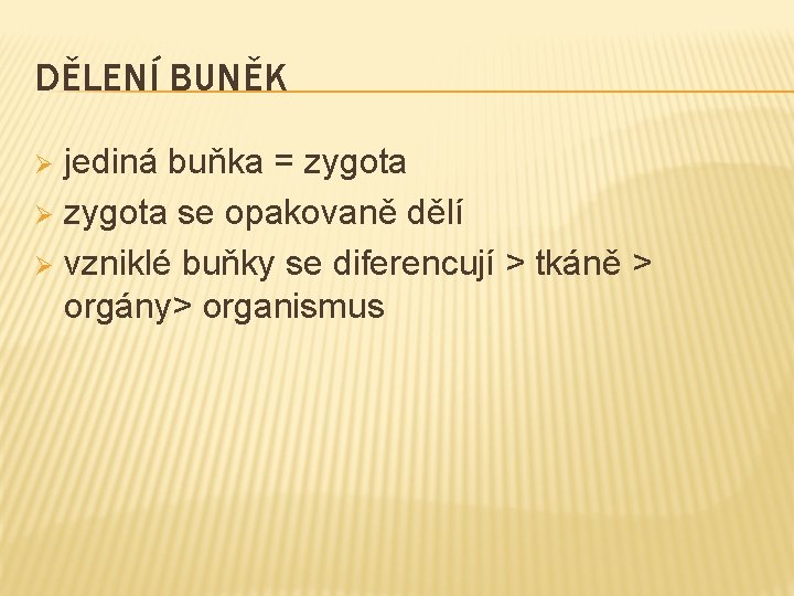 DĚLENÍ BUNĚK jediná buňka = zygota Ø zygota se opakovaně dělí Ø vzniklé buňky