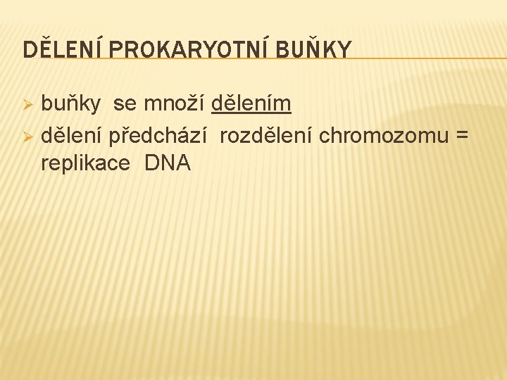 DĚLENÍ PROKARYOTNÍ BUŇKY buňky se množí dělením Ø dělení předchází rozdělení chromozomu = replikace